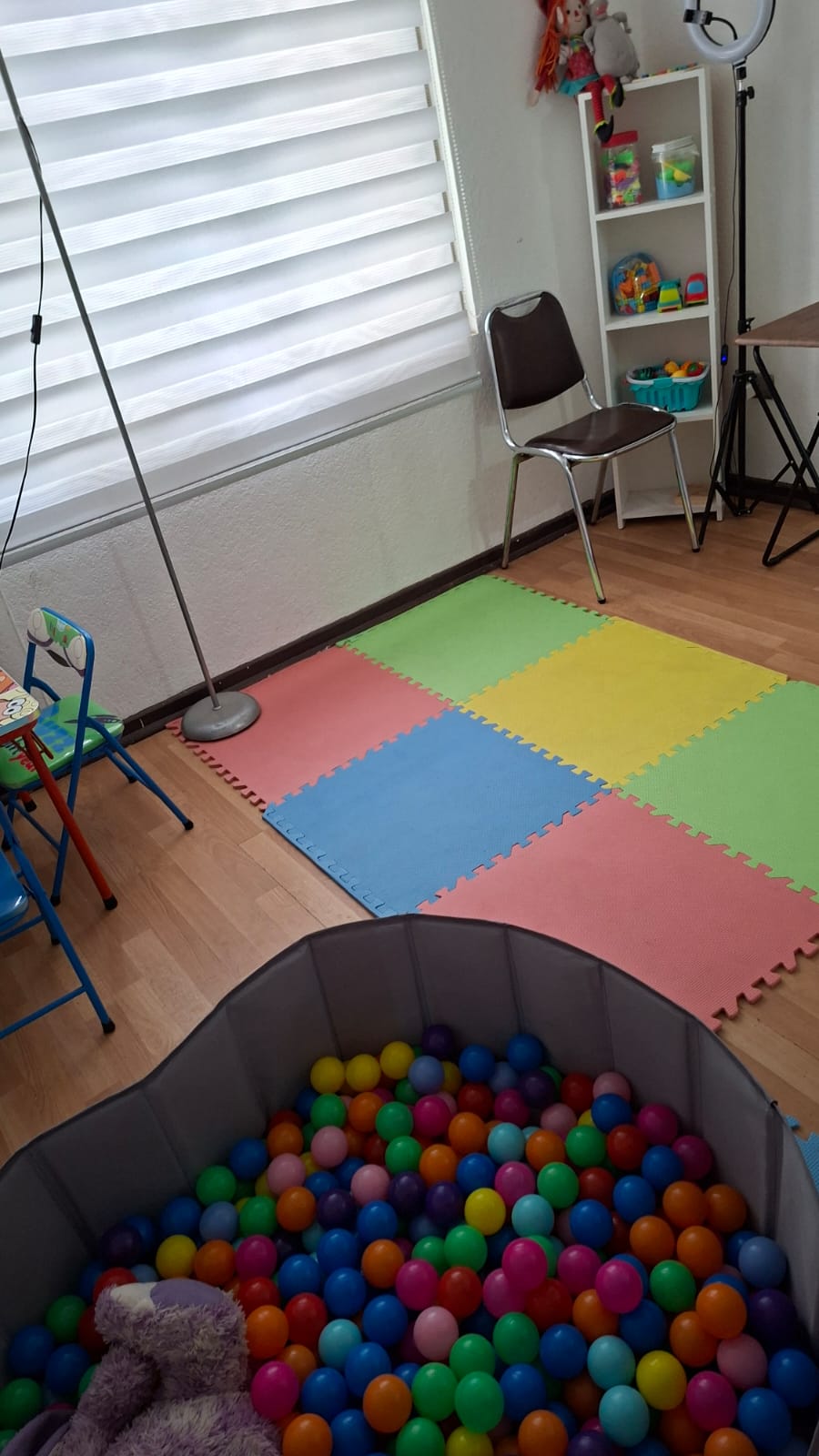 Sala de Terapia Ocupacional con colchonetas, piscina de pelotas y materiales de juego.
